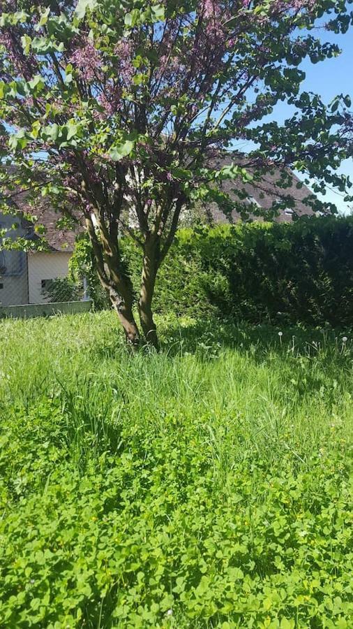 Вілла Maison De Campagne A 1H20 De Paris Saint-Hilaire-les-Andresis Екстер'єр фото